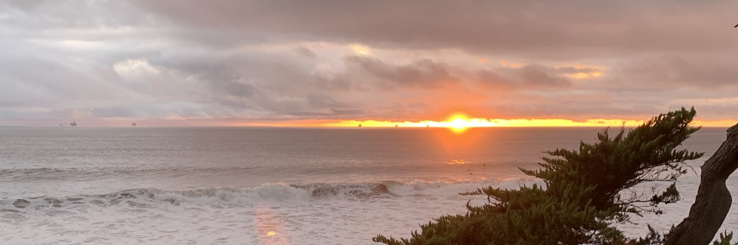 Mark A. Hartwig banner