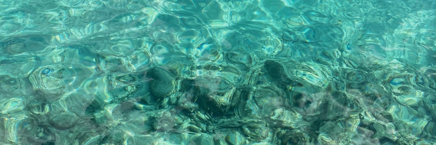 pequeswan_'s profile banner image