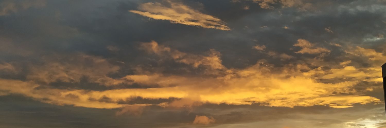 daanicunha's profile banner image