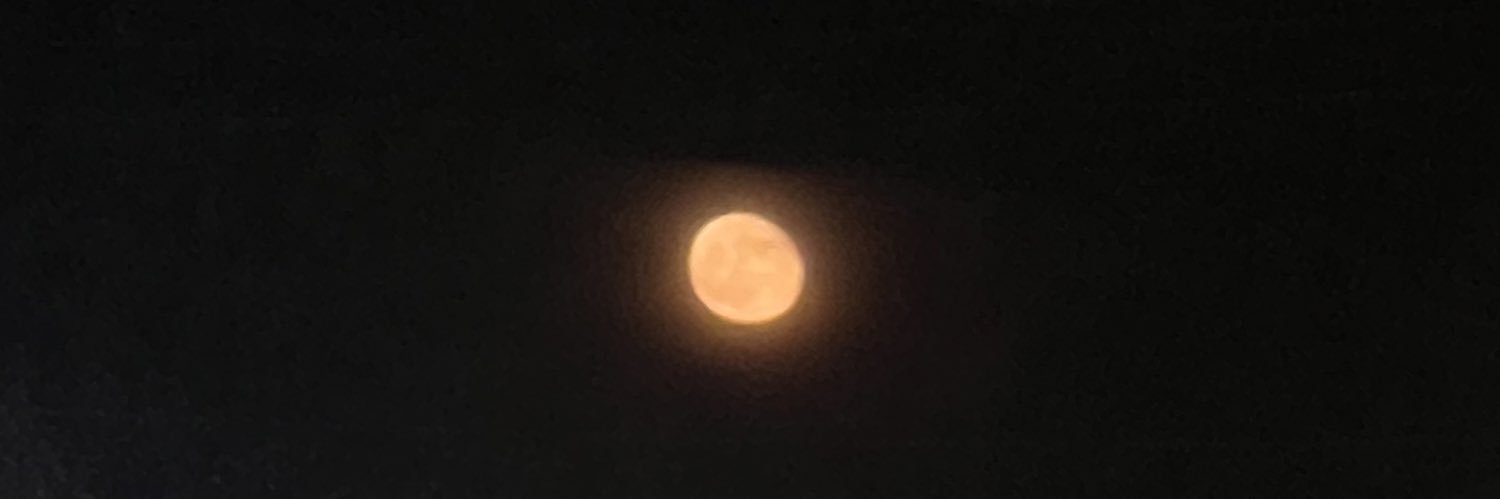 ssttrrdee's profile banner image