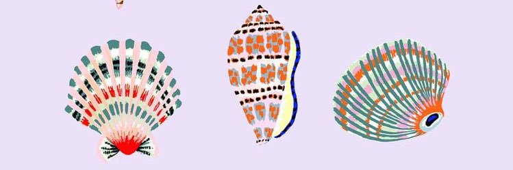 amandadinitto's profile banner image