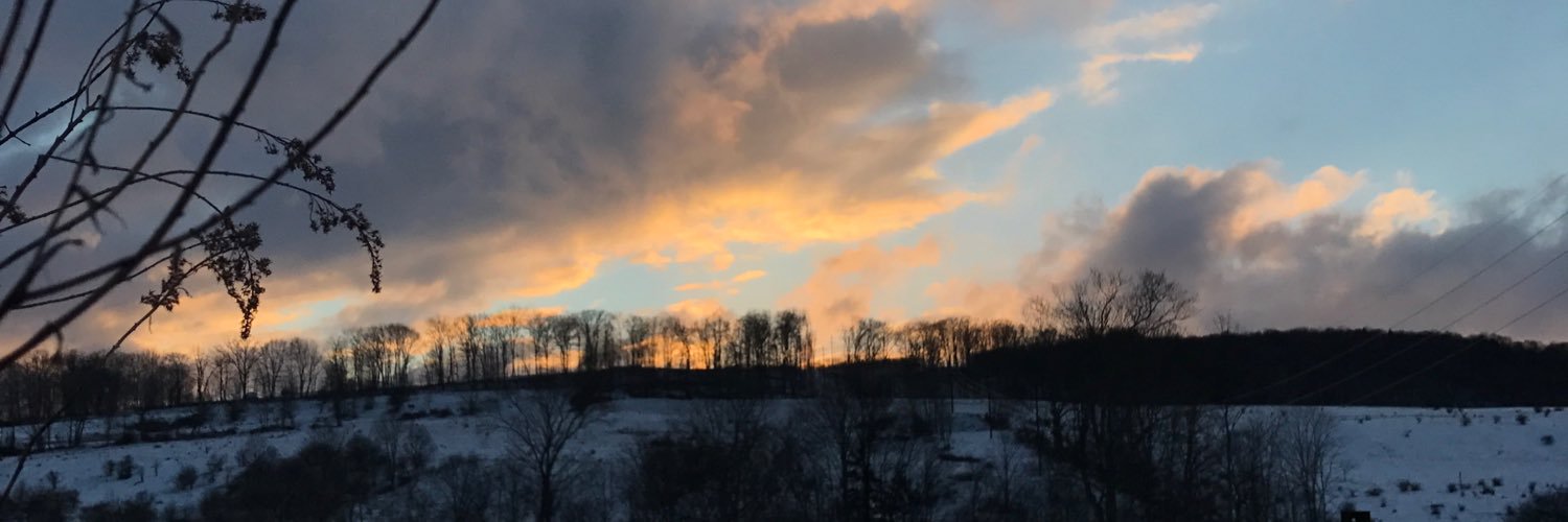 SarahBuynovsky's profile banner image