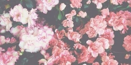 BibiBeauelle's profile banner image