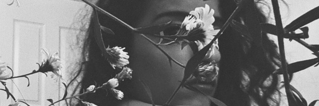 linncortes's profile banner image
