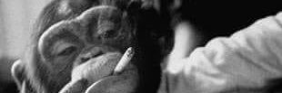 Andy_OC82's profile banner image