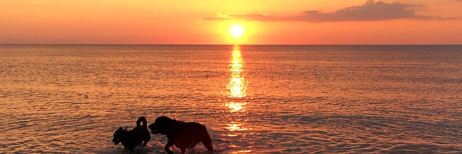 abbygraeb's profile banner image