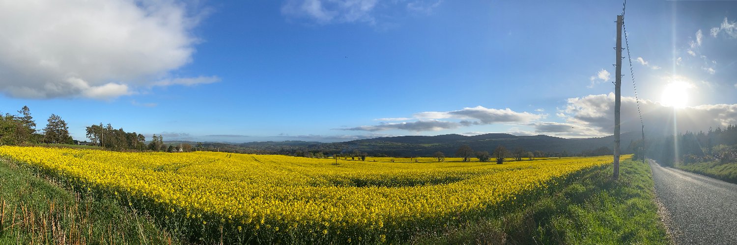 Laurie Parres banner