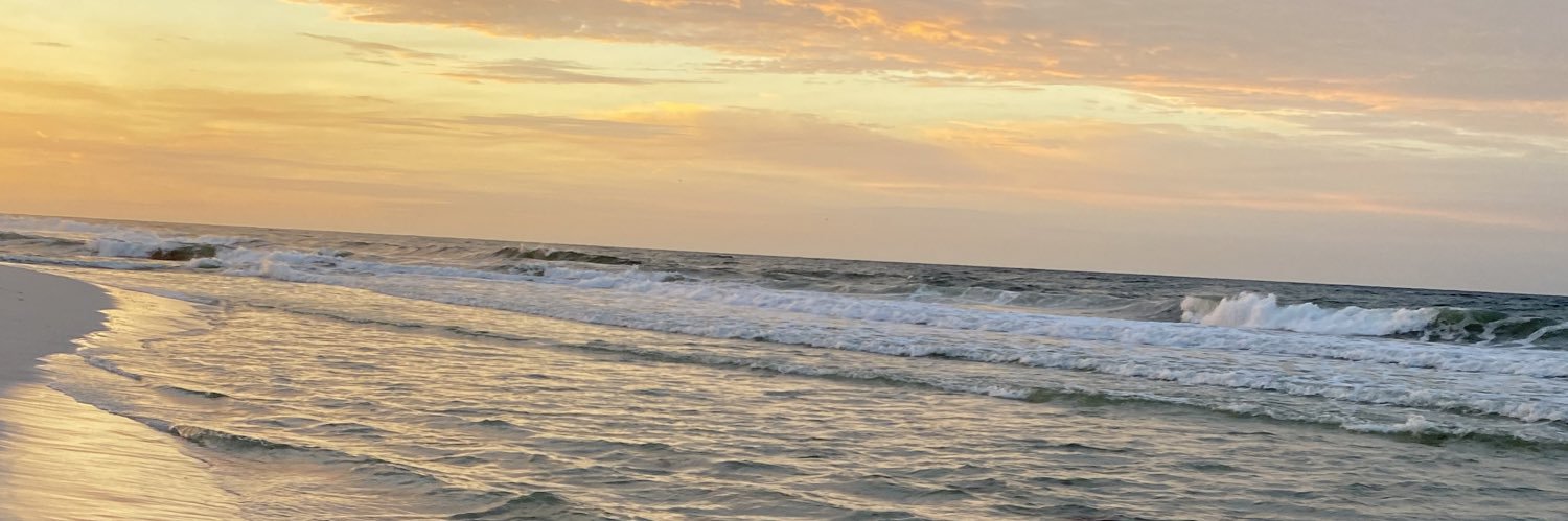 libbyr97's profile banner image