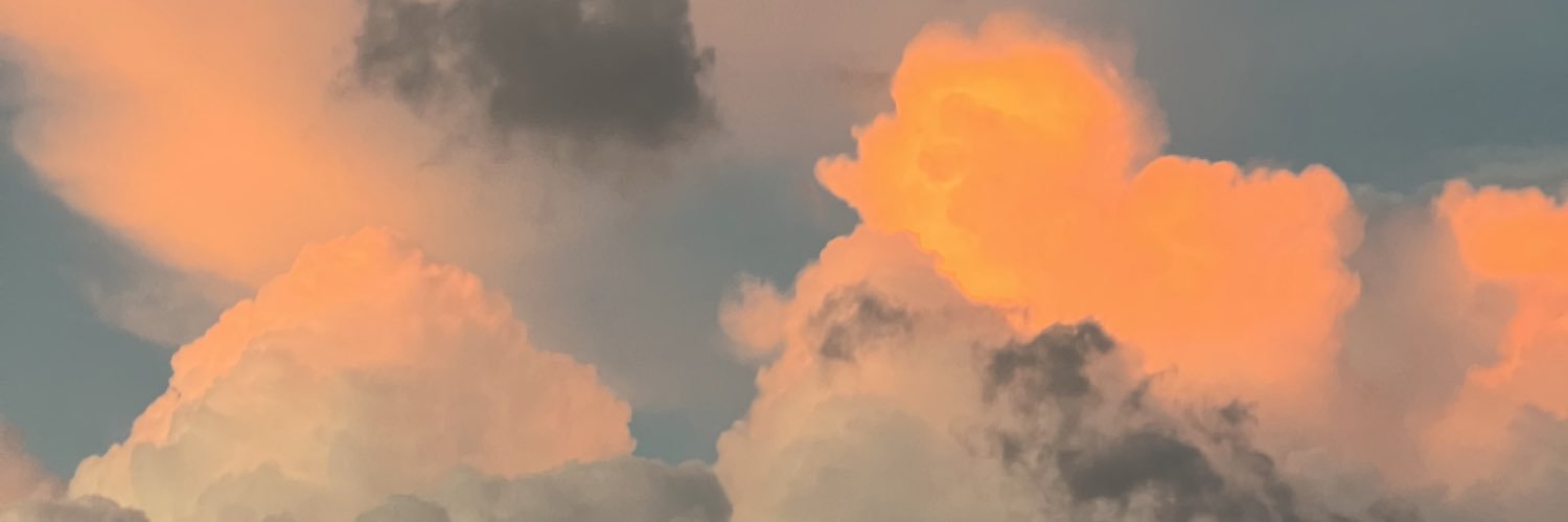 dani_manning8's profile banner image