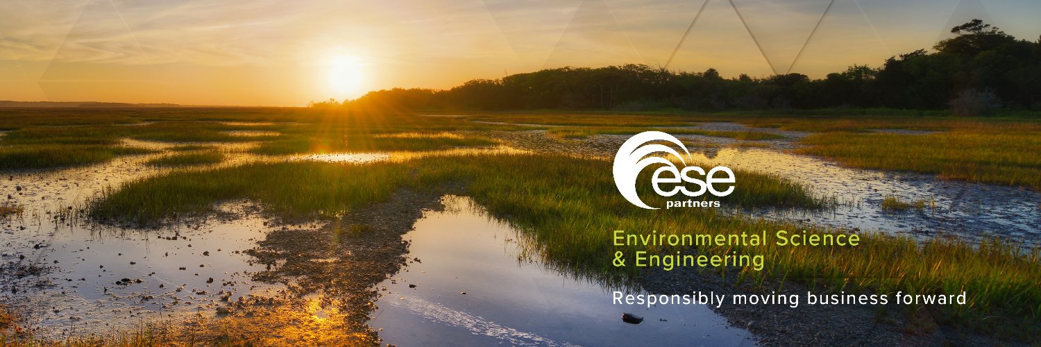 ESE Partners banner