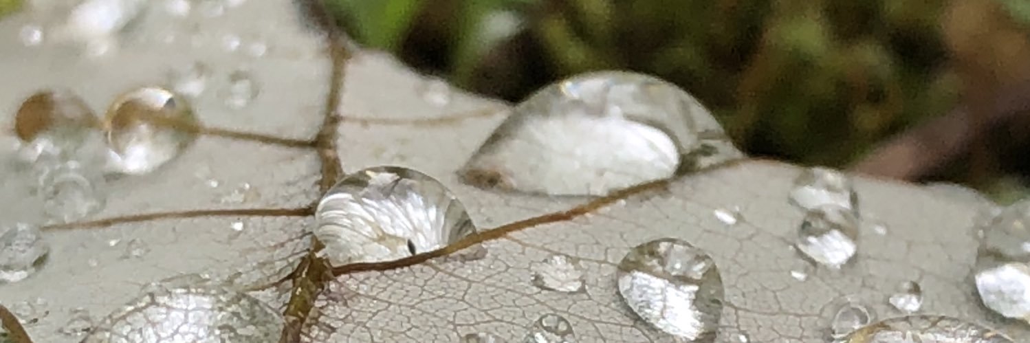 ajbestwrites's profile banner image