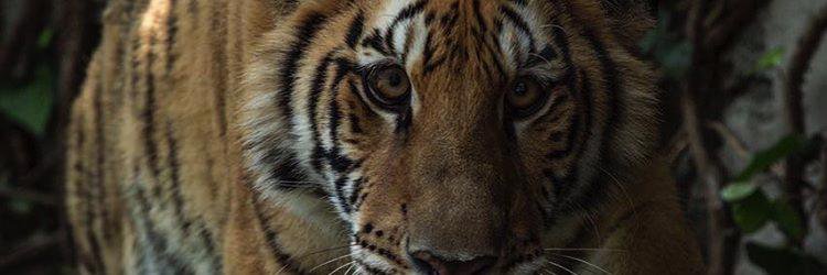 DanThaMan3281's profile banner image