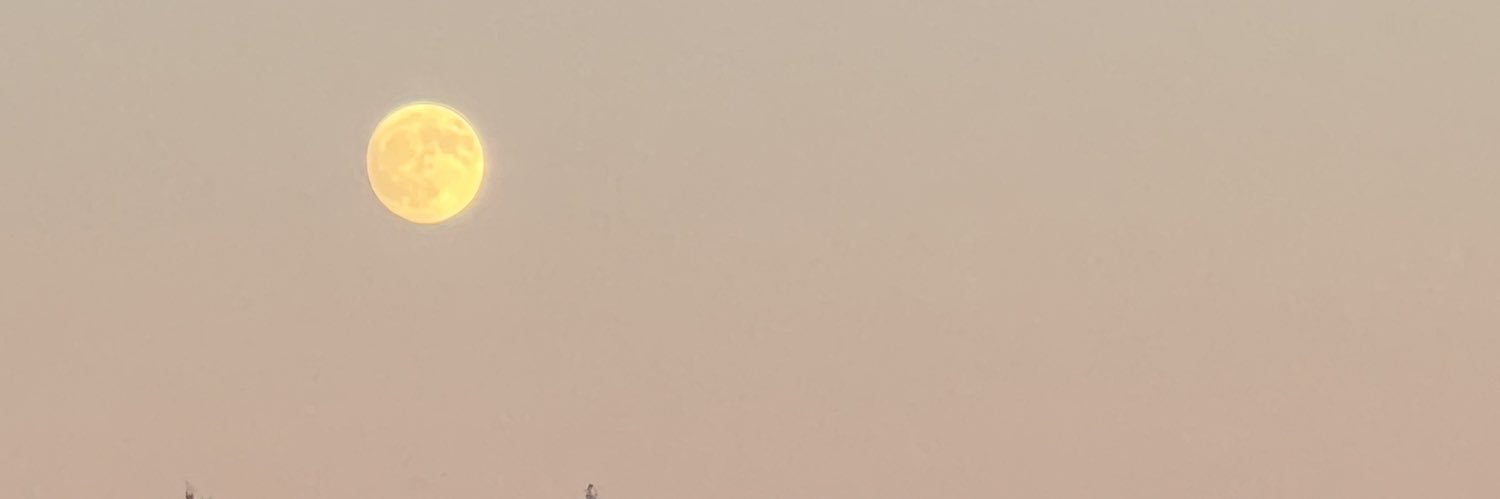 ris_princess's profile banner image