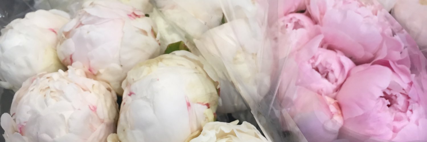 cortneyagren's profile banner image
