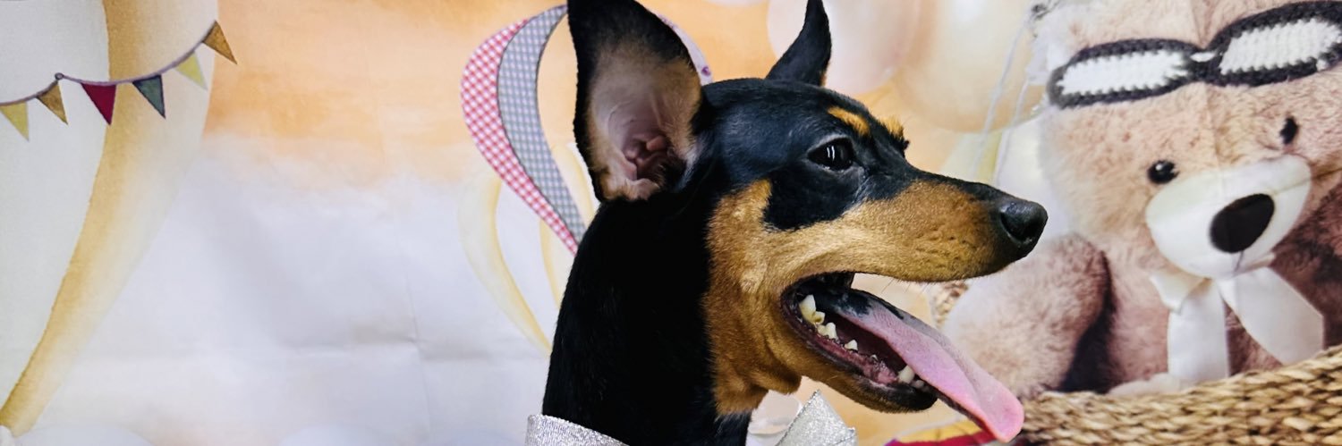 nari623's profile banner image