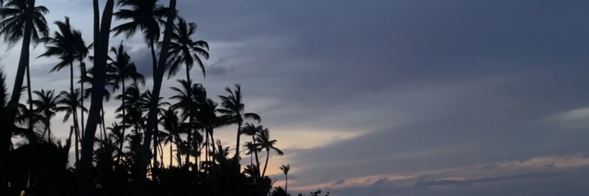 _MichelleRam's profile banner image