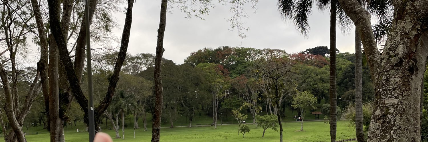 Roni Abreu banner