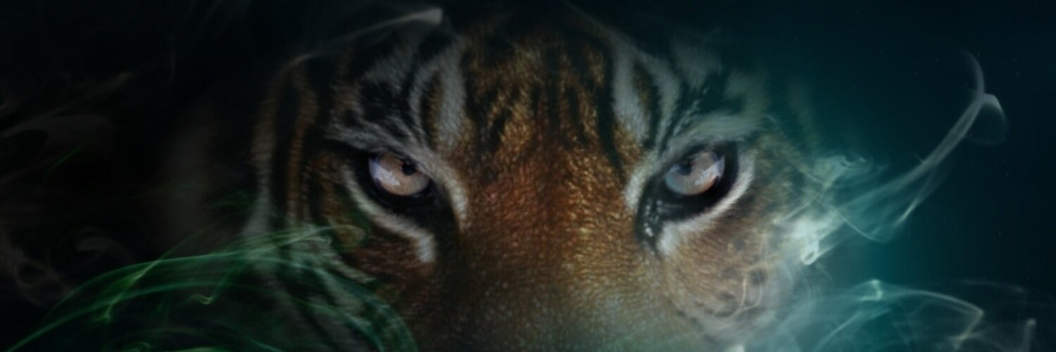 MoranSebastiian's profile banner image