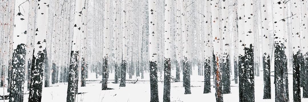 HGarrison93's profile banner image