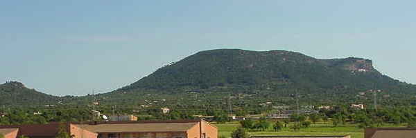 iesllucmajor Profile Banner