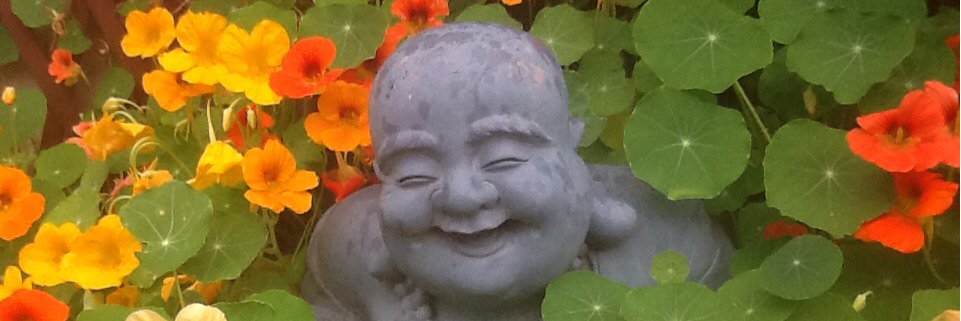 Victoria Francis banner