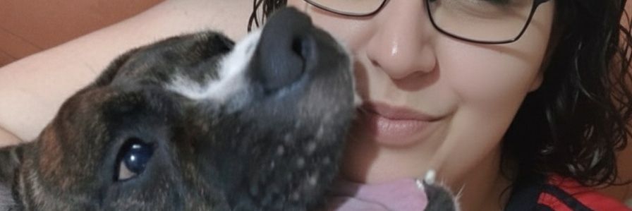 bbelbarros's profile banner image