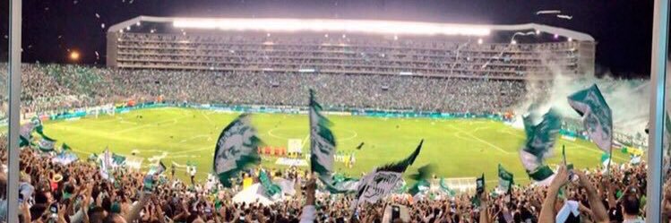 elperrocali's profile banner image