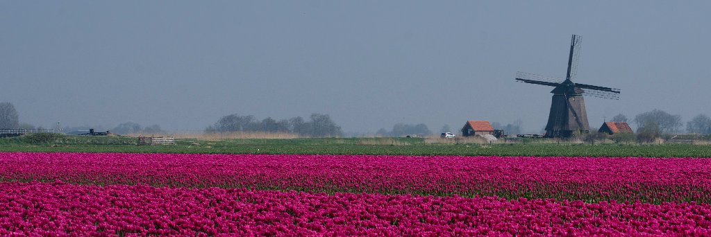MSombroek's profile banner image