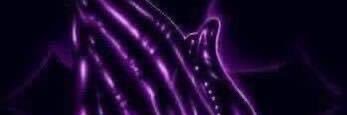 Stjoice's profile banner image