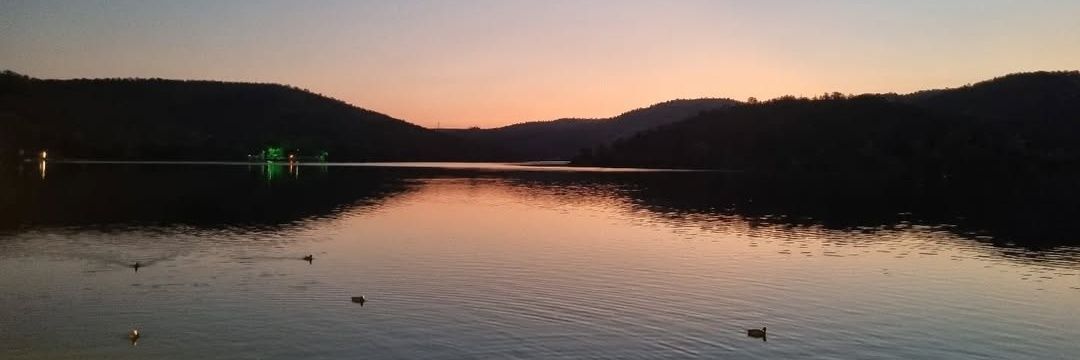 Anıl Kemal Aktaş banner