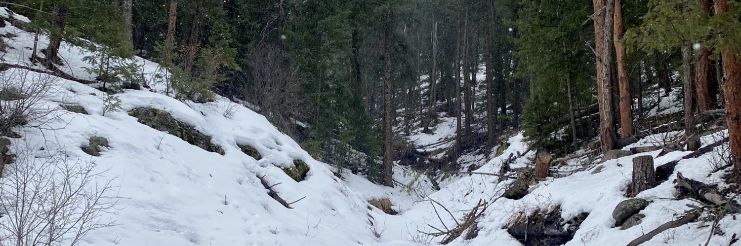 TonisBonilla's profile banner image
