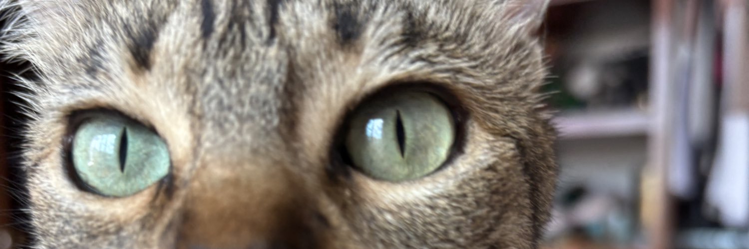 dulce_LMF's profile banner image
