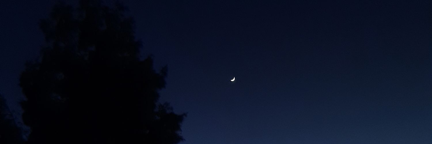 LunaOctara's profile banner image