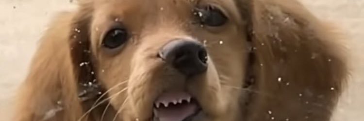 PameRc4's profile banner image
