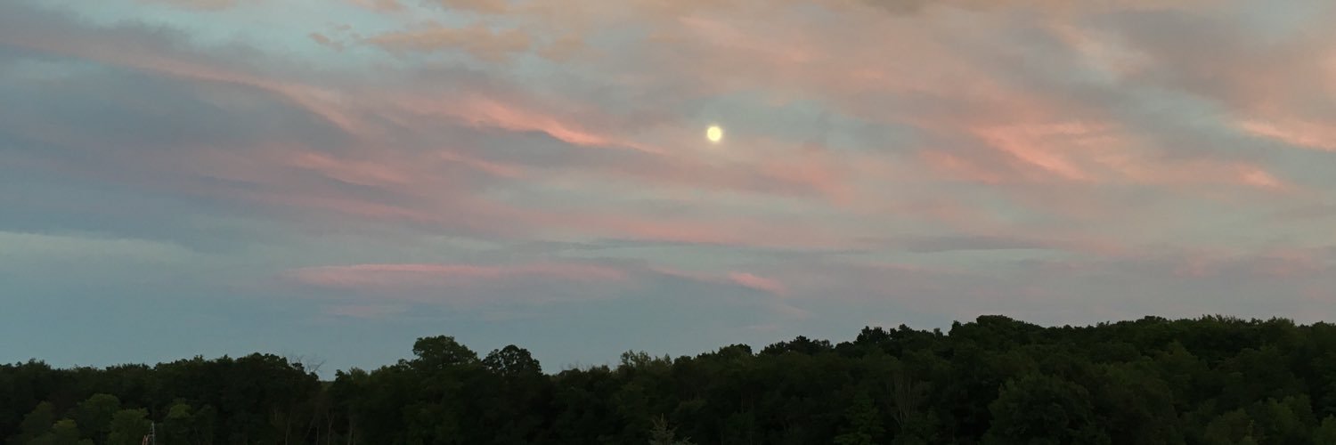 Laura Carravallah banner