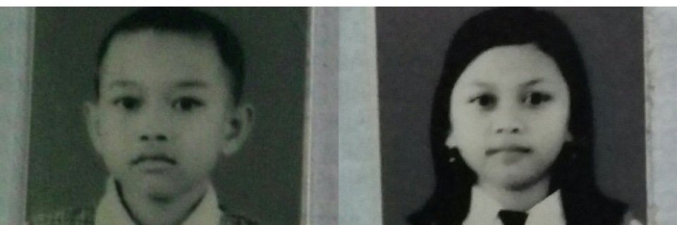 sopiananas's profile banner image