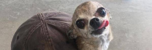 krstetaseski's profile banner image