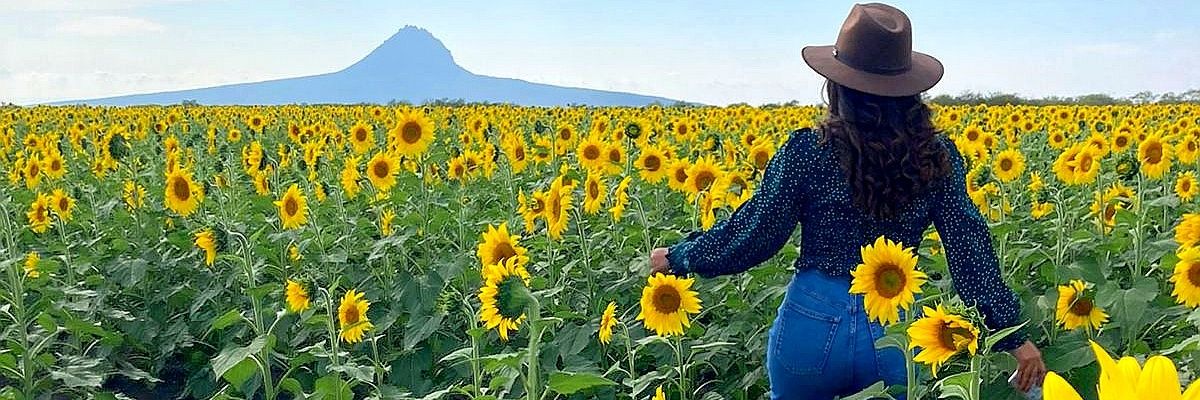 agogophoto's profile banner image