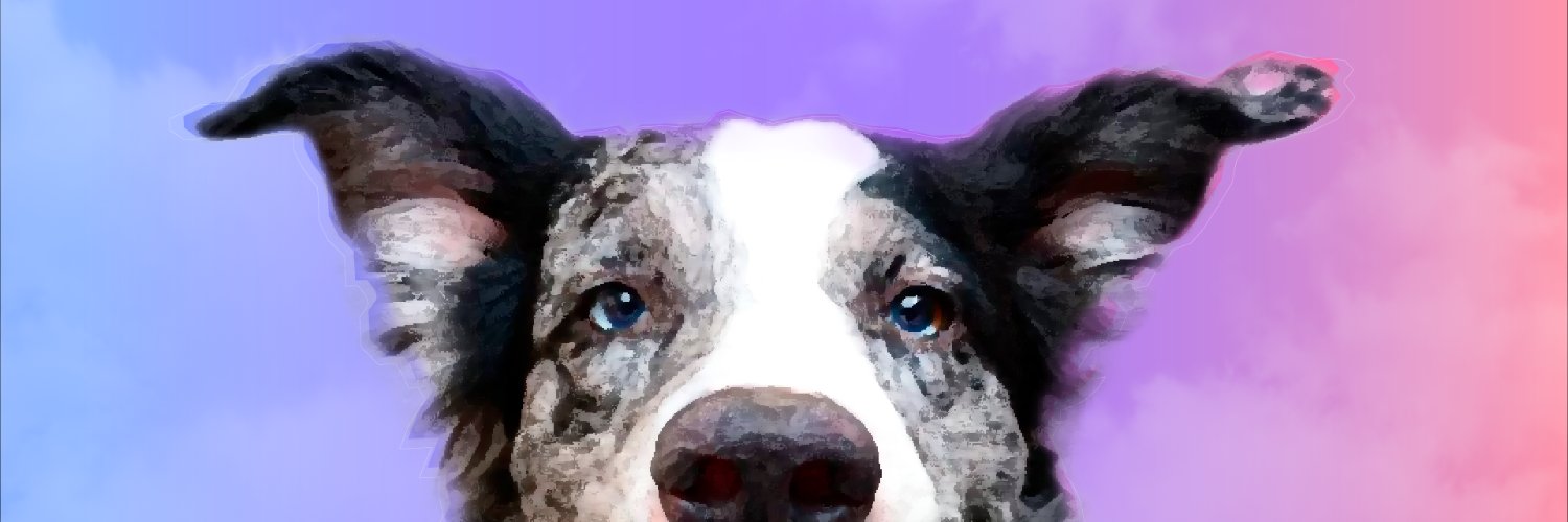 alinefioranelli's profile banner image
