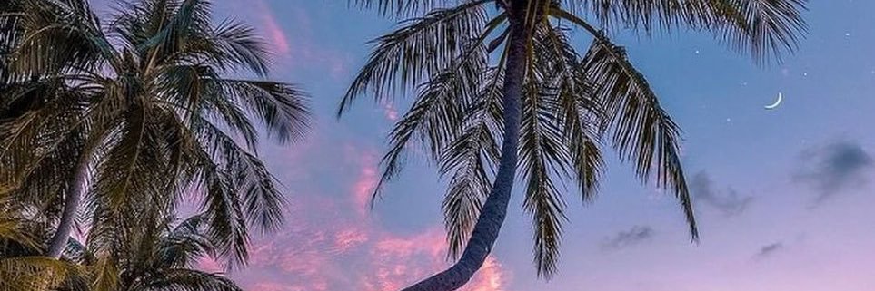 lgstf_'s profile banner image