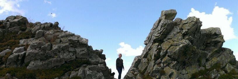 Danielle Winter banner