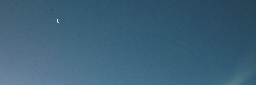_caroalv's profile banner image