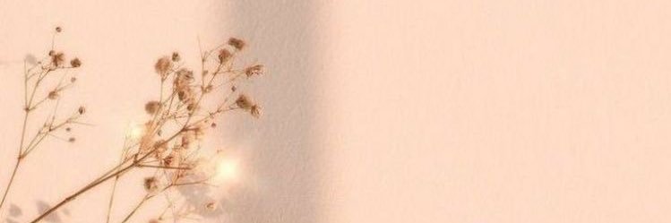 889Galai's profile banner image
