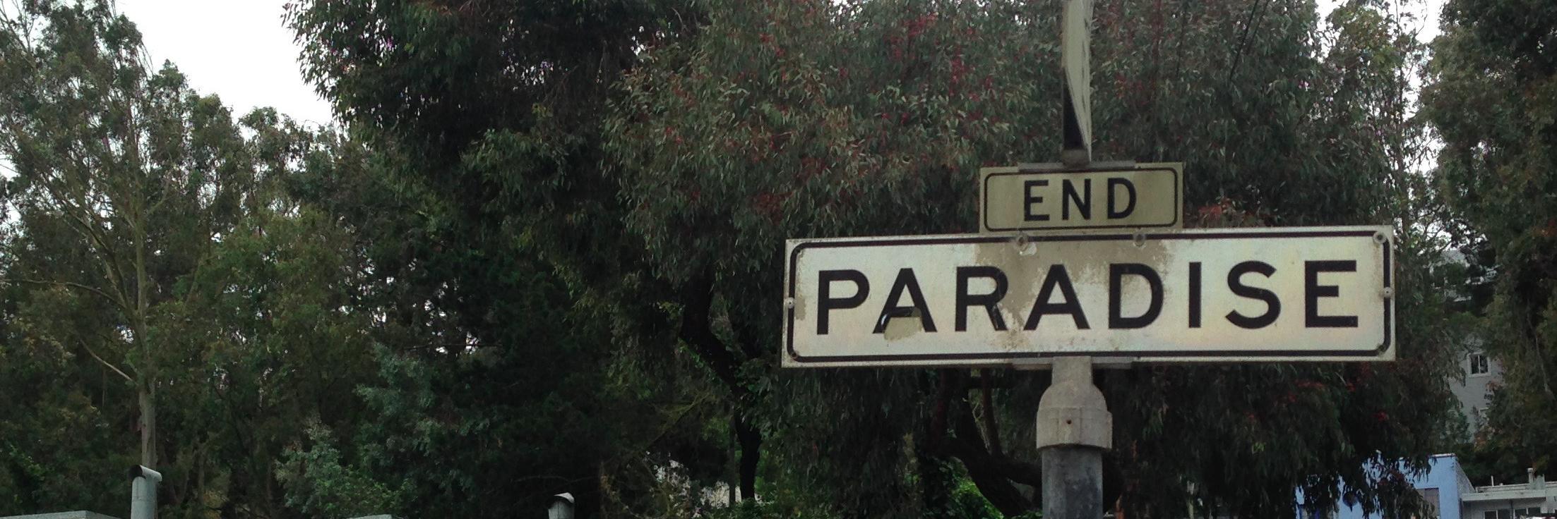 Patrick Iber banner