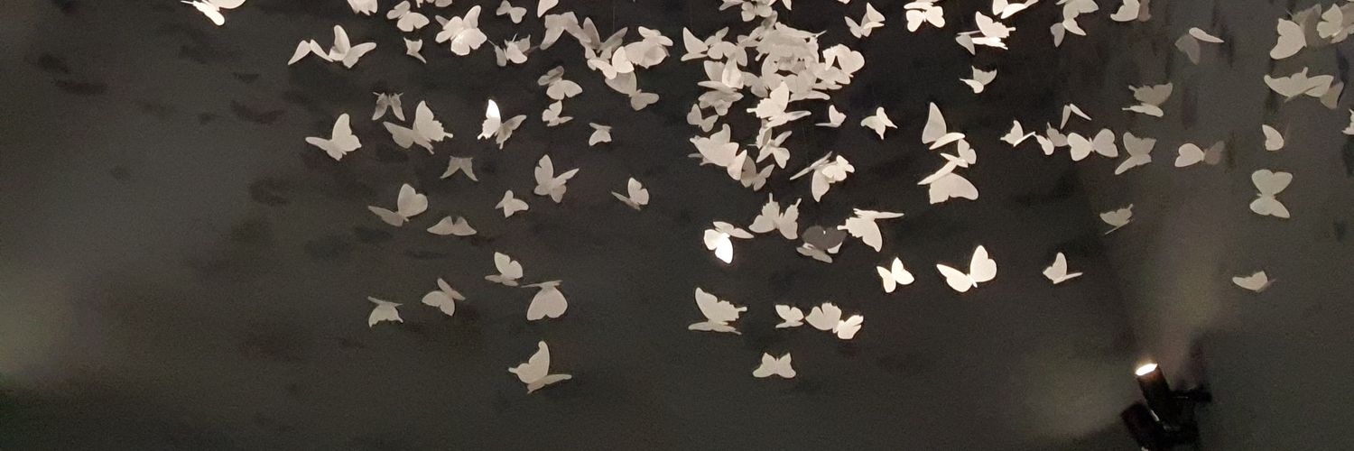 ferfura's profile banner image