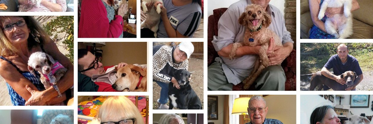 ElderPawsFound's profile banner image