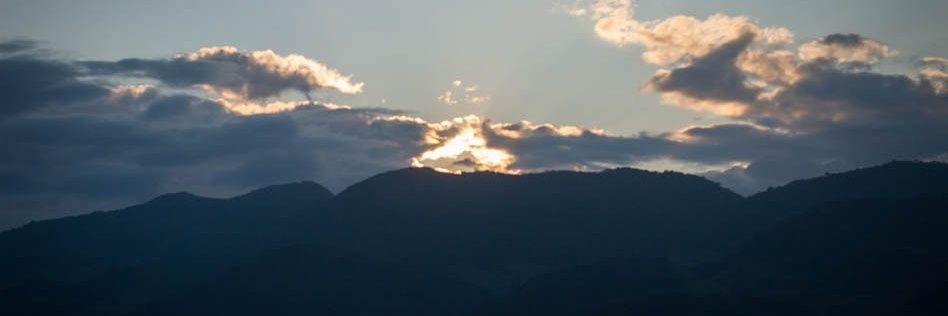 digdigdinn's profile banner image