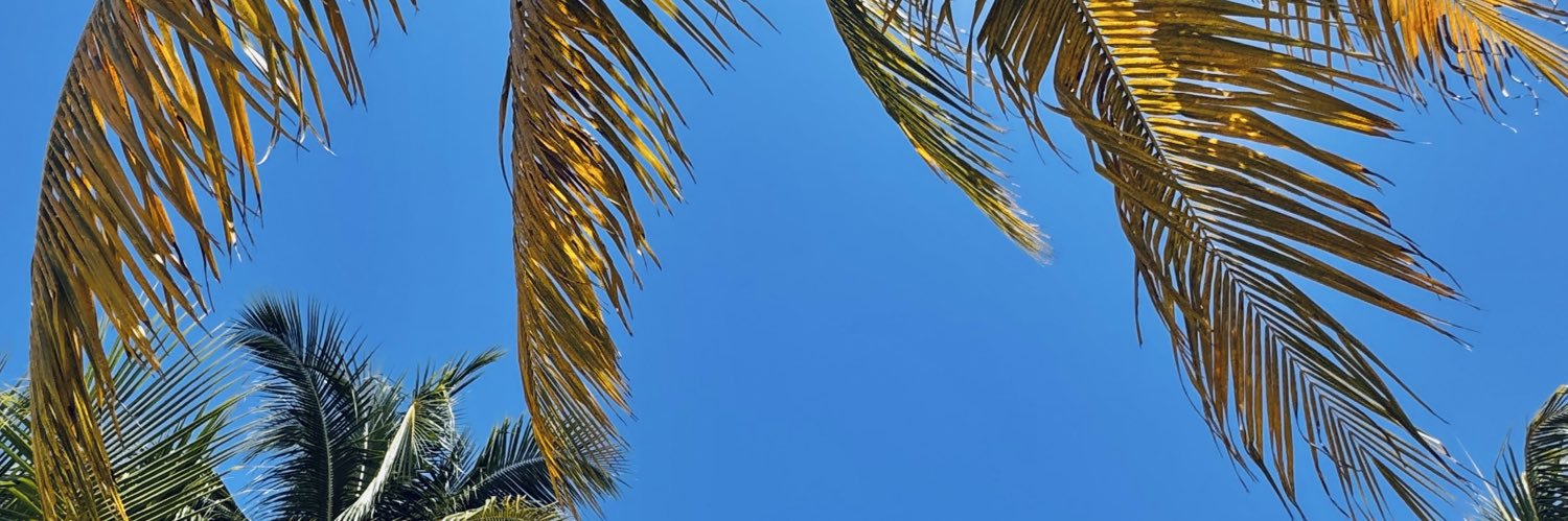 CHULETA's banner