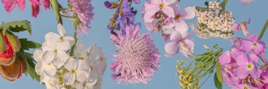 abi_doyle's profile banner image