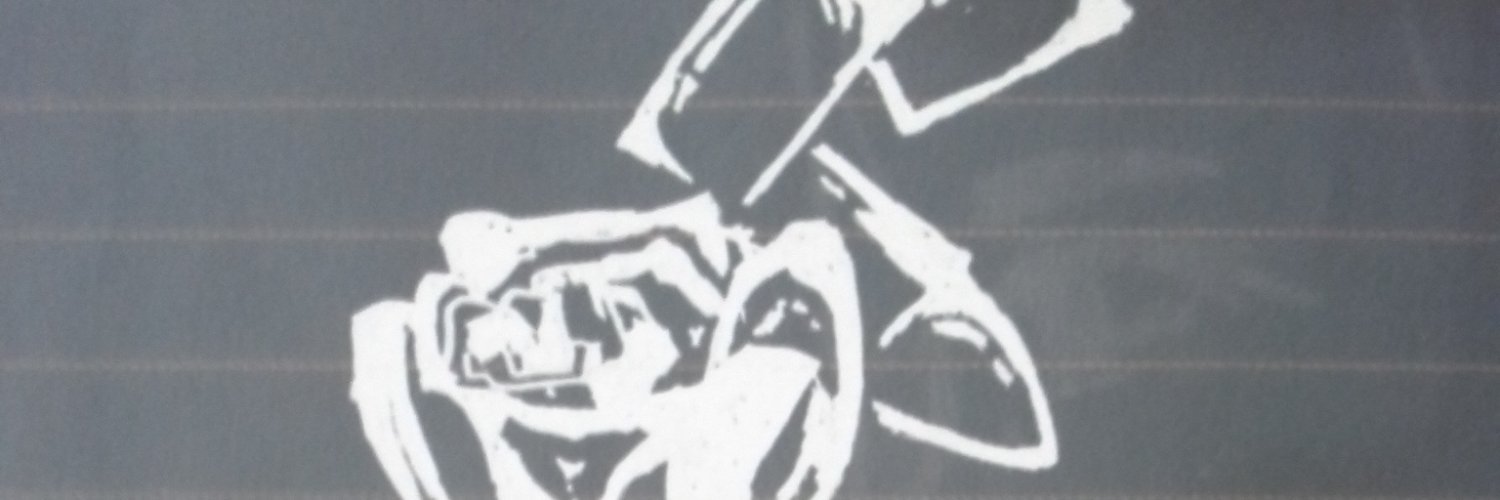brynvrn's profile banner image